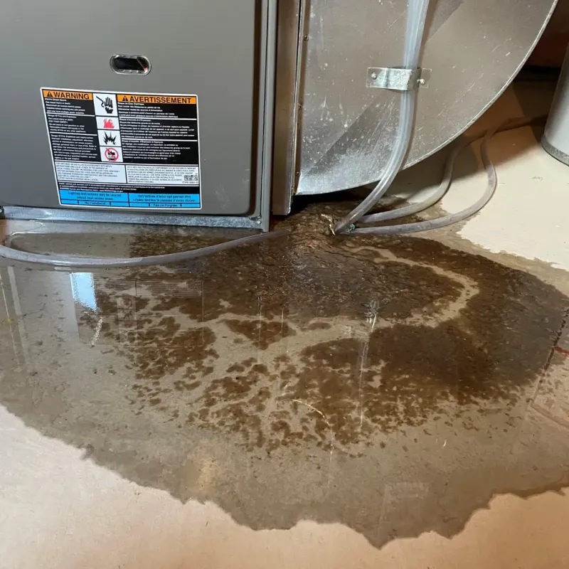 Appliance Leak Cleanup in Russell County, AL